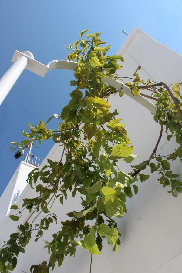 L'Angolo Di Ostuni - Home&Terracex4 Ngoại thất bức ảnh