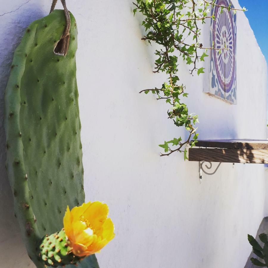 L'Angolo Di Ostuni - Home&Terracex4 Ngoại thất bức ảnh